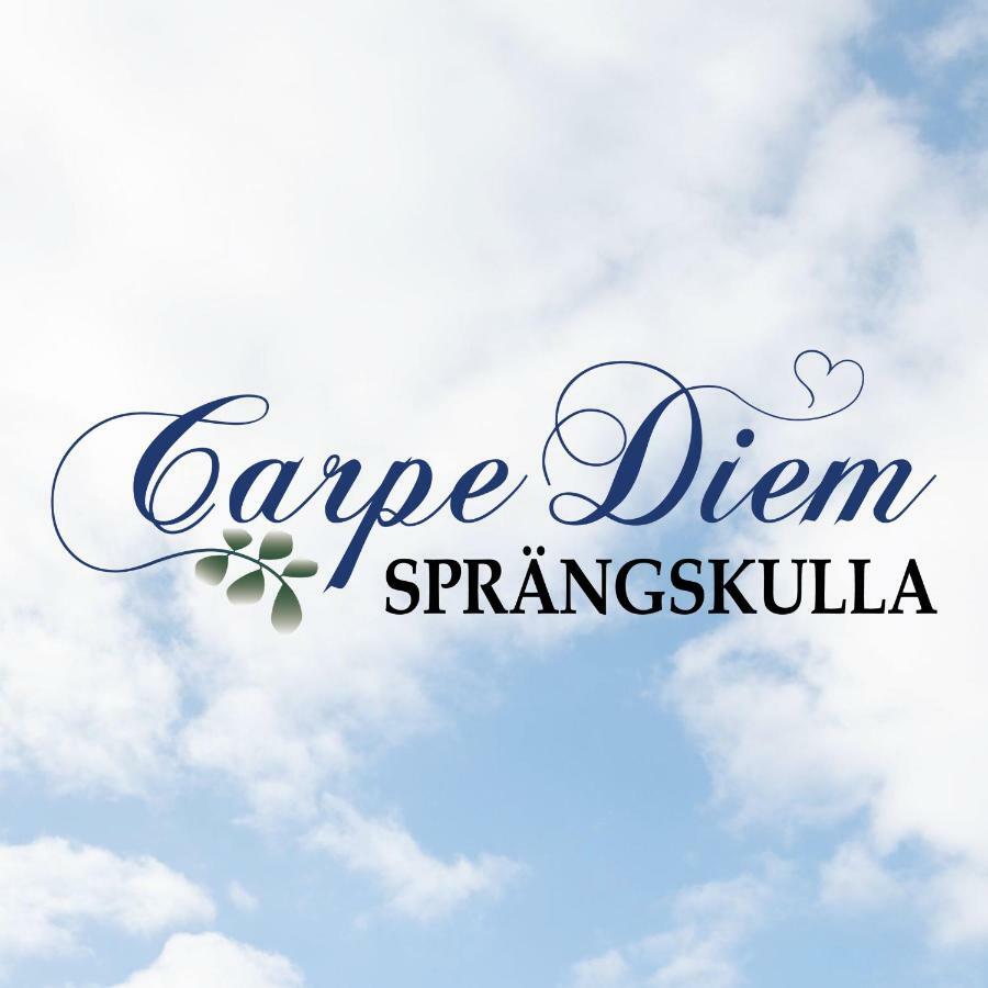 Carpe Diem Spraengskulla Veddige Exteriér fotografie
